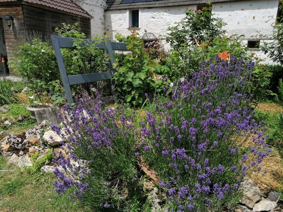 Hotellerie Jardiniers Gourmands Morsains Экстерьер фото